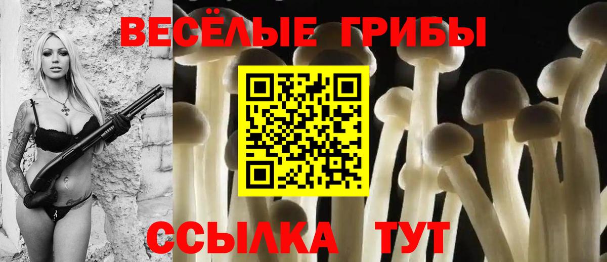 Галлюциногенные грибы ЛСД Сухой Лог